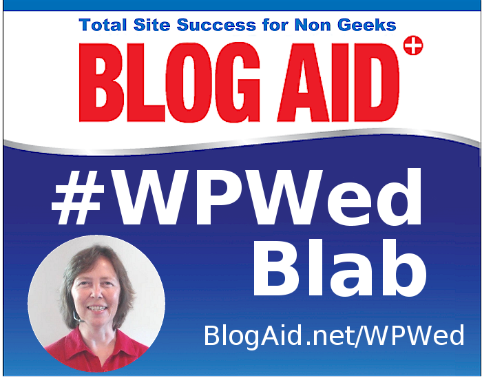 What Every Site Owner Should Know could save you months of frustration and hundreds of dollars Get your free copy. BlogAid