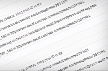 WP Security Audit Log is a WordPress plugin that enables you to keep track of all WordPress changes, user and under the hood activity by keeping a record of everything in an Audit Log. WP Security Audit Log